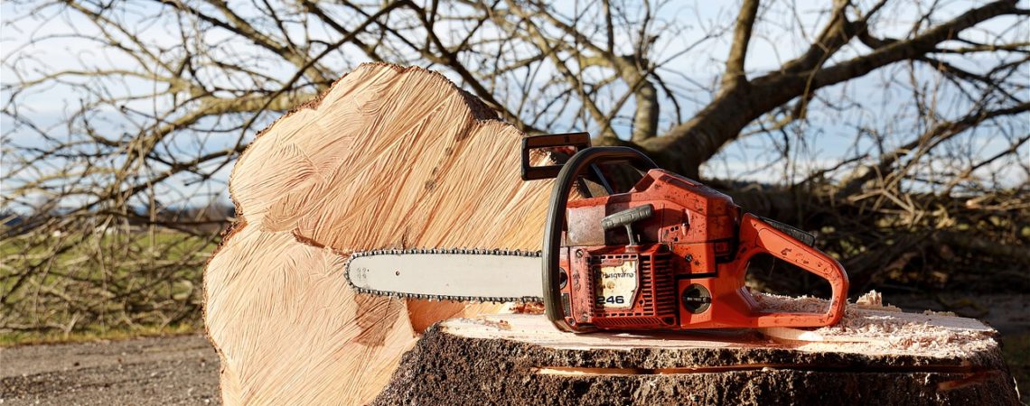 Top Six Benefits of a Cordless Chainsaw